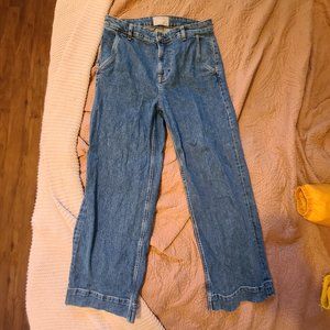 Everlane The Wide Leg Jean